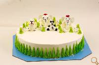 Design Birthday Cake