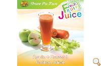Apple+Carrot+Celery Juice